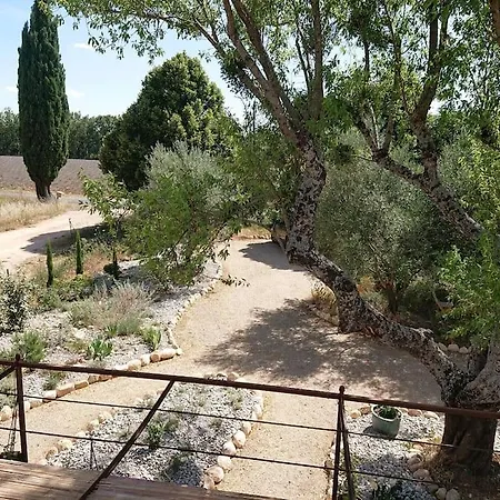 Gite Amandier, Ferme Bel Air, Riez Exterior photo