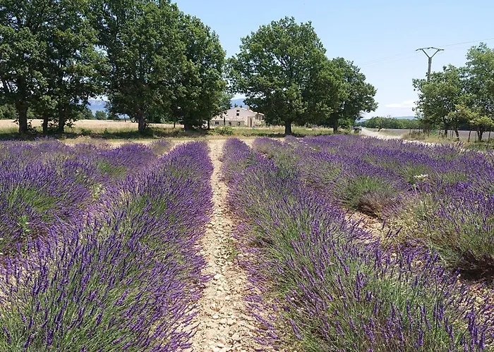 Gite Amandier, Ferme Bel Air, Riez