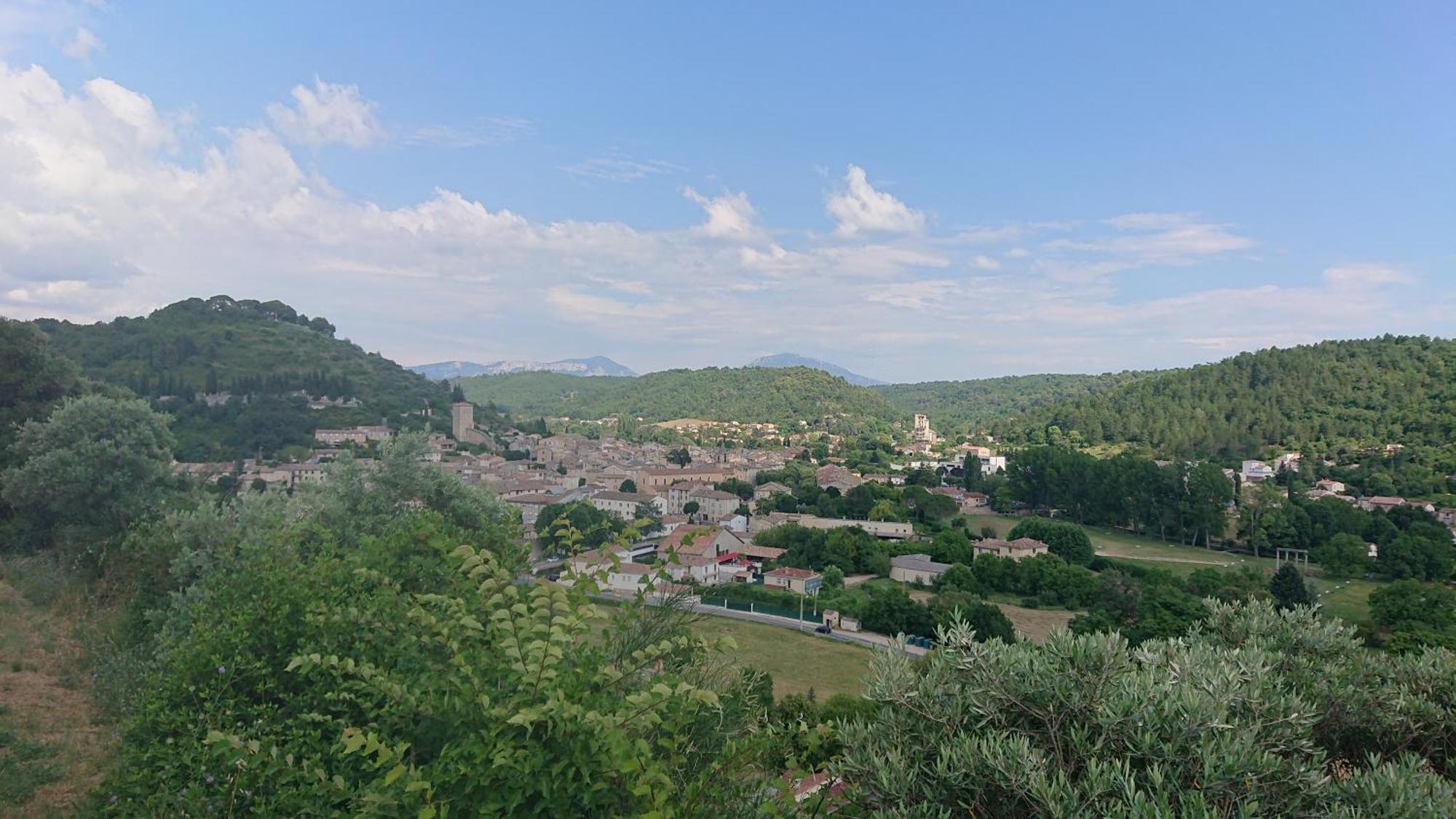 Amandier, Ferme Bel Air, Riez